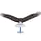 Metal Earth® Premium Series American Bald Eagle Steel Model Kit